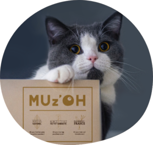 Un chat posant la pate sur un carton MUz'OH.