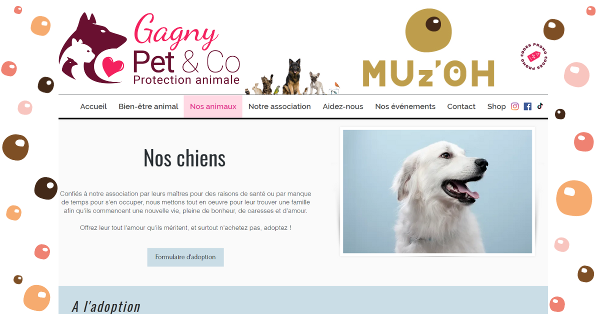 6 Pcs Protège Poêles Et Séparateur De Casseroles Gris - Maison