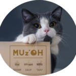Un chat posant la pate sur un carton MUz'OH.