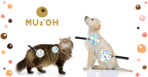 Le microbiote des chats et des chiens