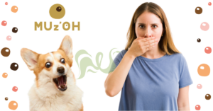 Pourquoi un chien a mauvaise haleine