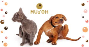 nourriture hypoallergénique pour chien et chat