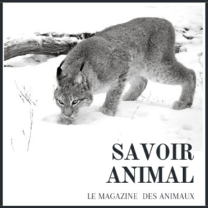savoir animal magazine logo