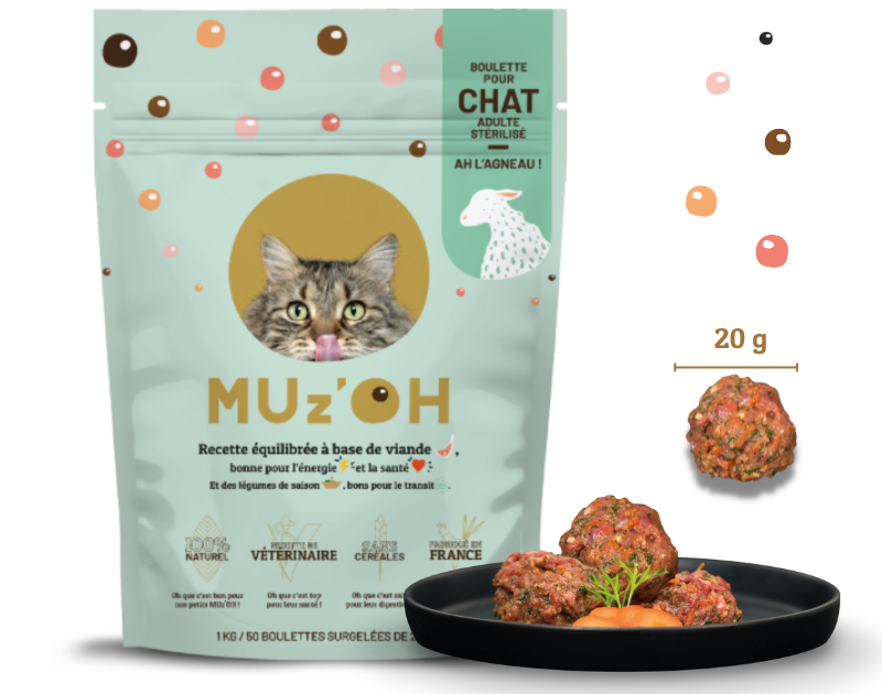 Alimentation barf pour chat ah l agneau muz oh