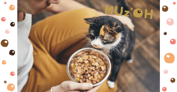 Combien de temps un chat peut rester sans manger?