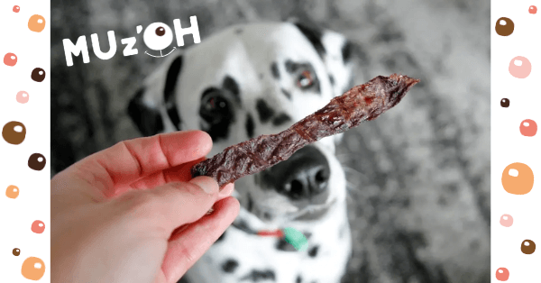 Friandises naturelles pour chien : lesquelles et pourquoi ?