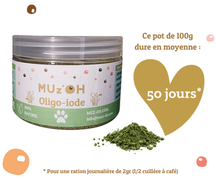 Oligo-iode MUz'OH (Kelp / Varech) - ration journaliere pour chat et chien