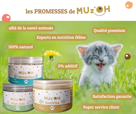 Promesses de MUz'OH - Complements alimentaires pour chat